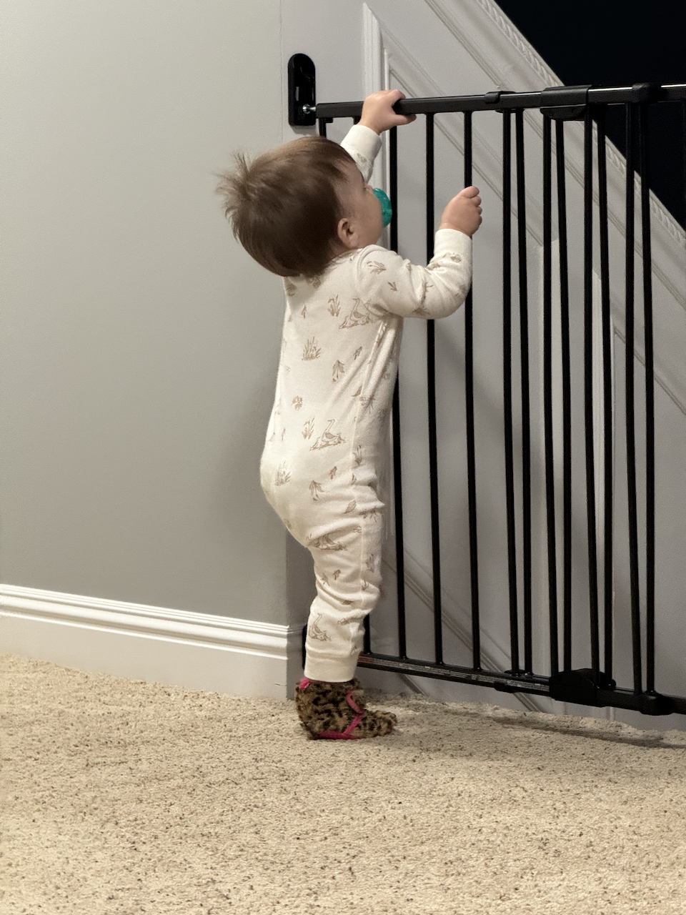 Zoe trying to climb the baby gate.